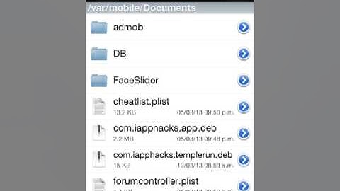 [HACK] Temple Run (All Versions)