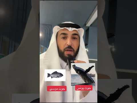 شاهد حوت موسى في سورة الكهف وتصدقت عنك ووالديك في مكة بصدقات جارية لإنك فقط تشاهد هذا المقطع
