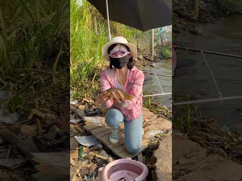 Hành trình đi tìm con cá kể P.3 #fishing #cauca #cá #caucathiennhien #caucagiaitri #câu #mayfishing