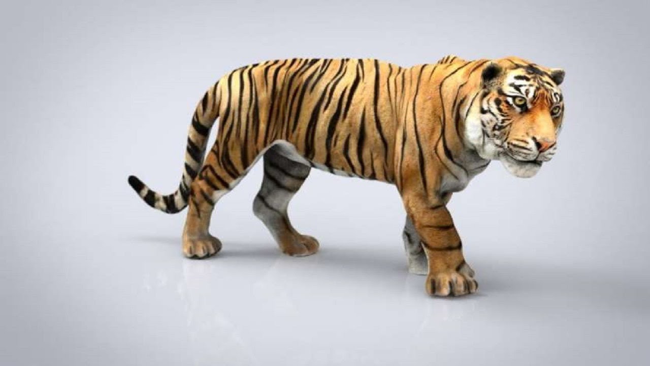 How To View 3d Animals In Google Google S 3d Animals Ar Feature Supporting Mobile List 3d Animal Youtube