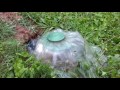 Water pouring out of an NDS pop-up emitter Yard drain