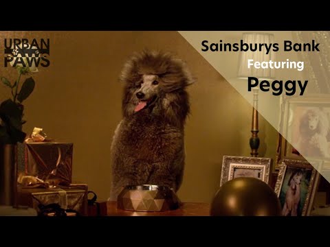 Sainsburys Bank - Pet Insurance featuring Peggy