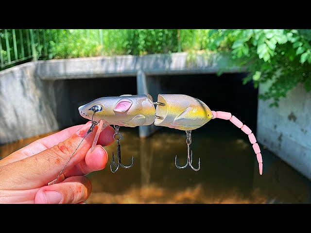 SEWER FISHING with a Topwater Rat Lure (DEADLY Summer Technique) 