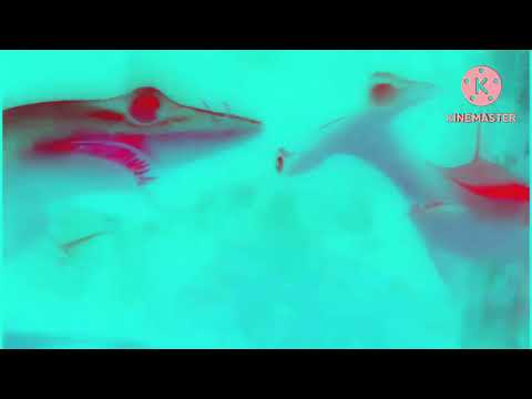 Intervention Nemo with G Major 5