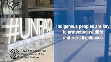 Indigenous peoples are key to protecting wildlife and rural livelihoods