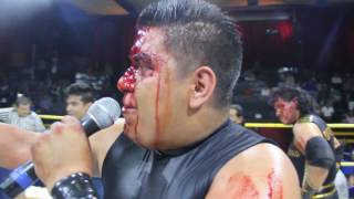 "No hables de fraudes cuando tu pinche niña la quesadillera mayor no vino" OFICIAL 911