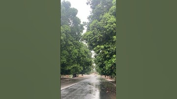 سورة أبراهيم : وَمَا لَنَآ أَلَّا نَتَوَكَّلَ عَلَى ٱللَّهِ وَقَدْ هَدَىٰنَا سُبُلَنَا
