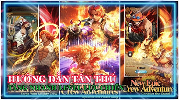 Straw Crew Adventures Hướng dẫn tân thủ cách chơi chuẩn và cách tăng lực chiến nhanh