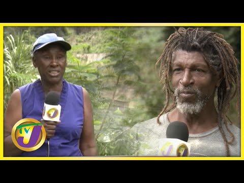 'From Fish to Chicken Back' Rio Cobre Chemical Spill 8 Months After  | TVJ All Angles