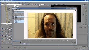 Sony Vegas Cursor Position - Pan and Crop