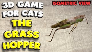 3D game for cats | CATCH THE GRASSHOPPER (isometric view) | 4K, 60 fps, stereo sound screenshot 4