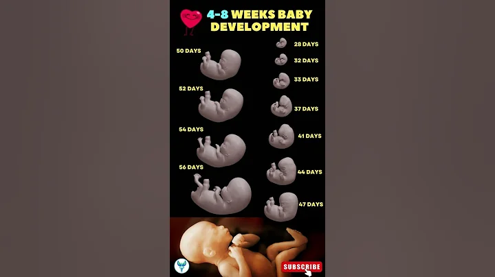 4 - 8 Weeks Baby development 🚼😍 Fetal development | Pregnancy week by week #shortsvideo #baby