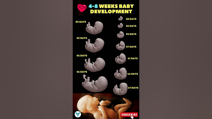 4 - 8 Weeks Baby development 🚼😍 Fetal development | Pregnancy week by week #shortsvideo #baby