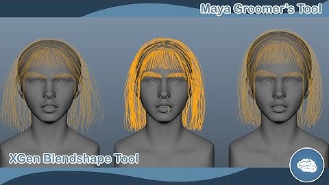Maya Groomer