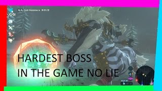 Killing the Hardest Boss in The Legend of Zelda Breath of the Wild