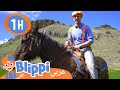       blippi visits a ranch