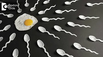 Does boiled egg increase sperm count?