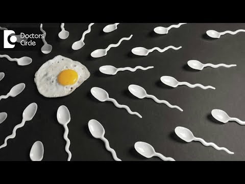 Food to increase sperm count - Ms. Sushma Jaiswal