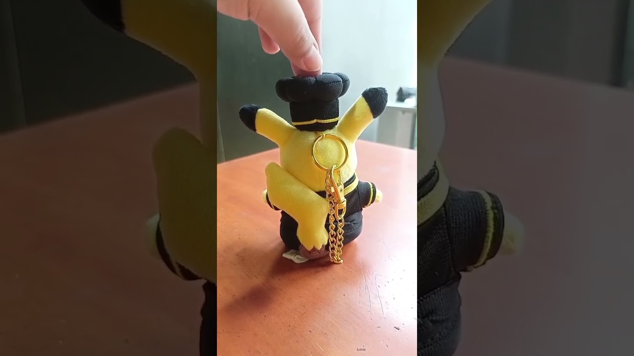 Who's that Pokemon? #pikachu #pokemon #plushies #pompompurin #sanrio #meme