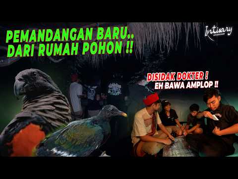 TERNYATA BURUNG INI BERMALAM DI DOOM AVIARY !! ATO MURUNG?! | INTISARY #12