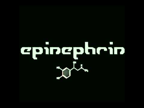 Epinephrin   DU gehrst MIR Lyric