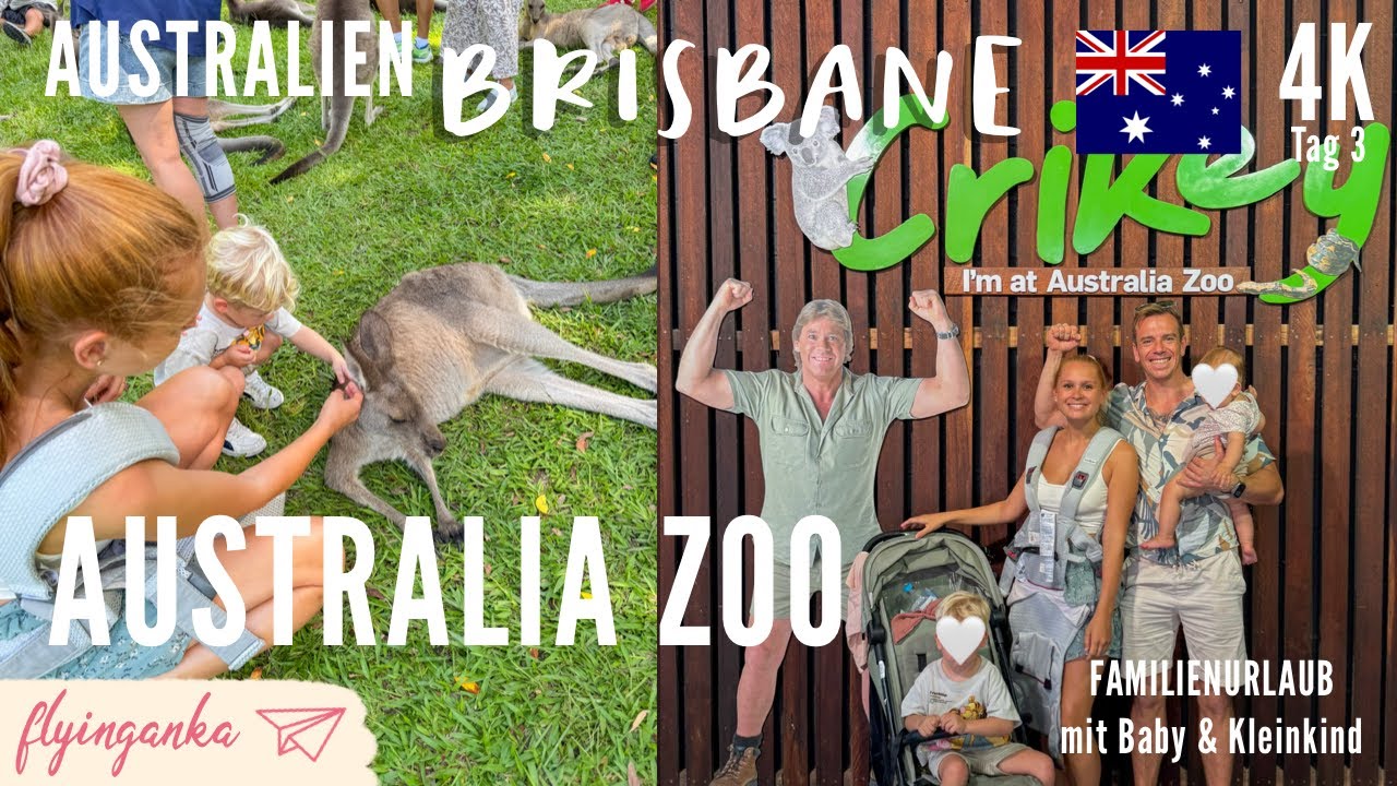 Brisbane mit Kindern – Tag 3🇦🇺 | Australia Zoo & Sheppard Live Concert |2025