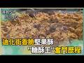尋找台灣感動力-絕境重生堅果糖酥 古法炒出手作溫度