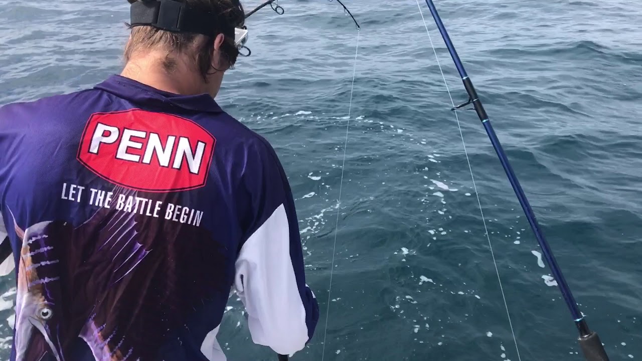 Bluefin Tuna Victor Harbor, South Australia YouTube