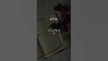 سورة الشرح #قرآن #قران_كريم #تلاوة_خاشعة #سعد_الغامدي