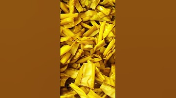 Smart skills in harvesting taro stems for cooking using simple tools #shorts #farming #agriculture