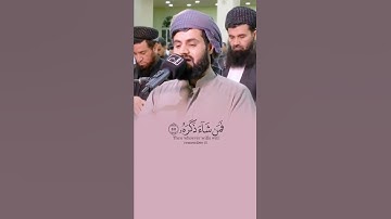 تلاوة باكية من الشيخ رعد الكردي حفظه الله تاخذك الى عالم من السكينة || حالات تيك توك | حالات واتساب