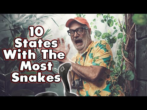 Video: Welke staat is het meest moerassig?