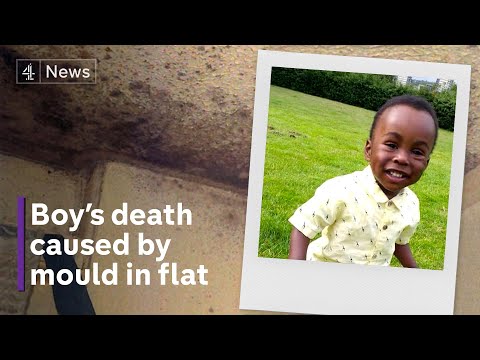 Toddler’s death caused by mould in rented flat that was ‘unfit for humans’