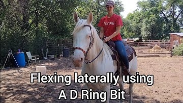 Flexing laterally using a D Ring Snaffle bit