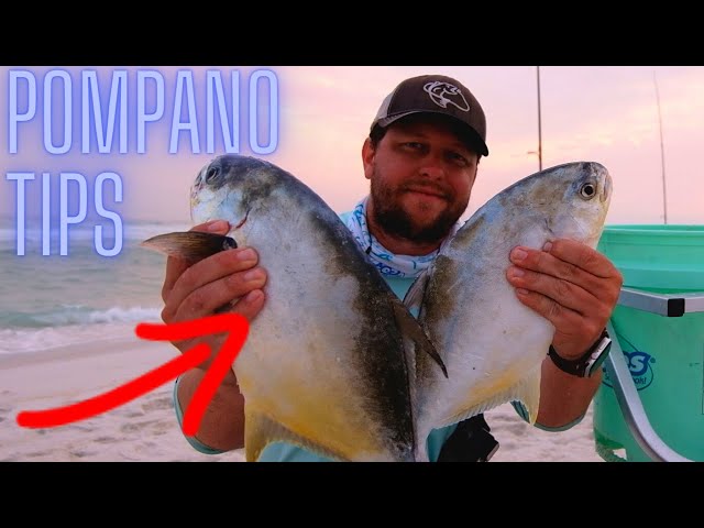 Pompano Fishing Tips & Rigs How to catch Pompano Surf Fishing