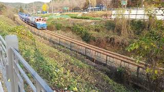 코레일 온산행 유류화물열차 #Y3966
