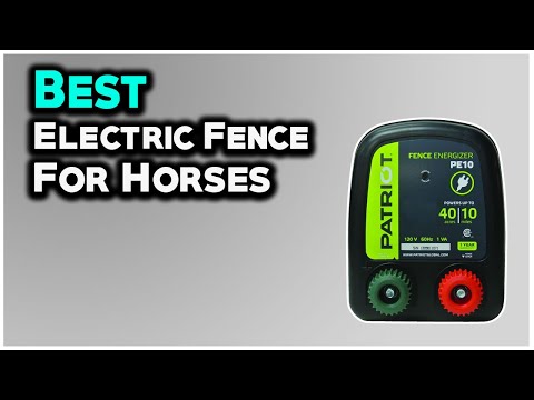6 Best Electric