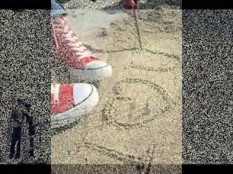 فضل شاكر زيد الملامه 