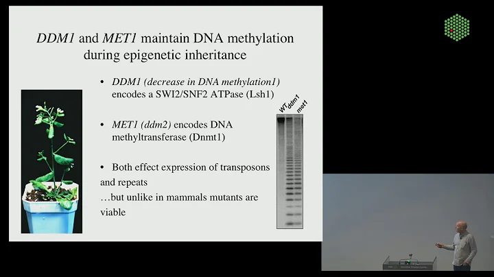 EMBL Keynote Lecture - Germline reprogramming and epigenetic inheritance of transposable elements - DayDayNews