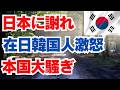 日本に謝れ　在日韓国人激怒　本国大騒ぎ