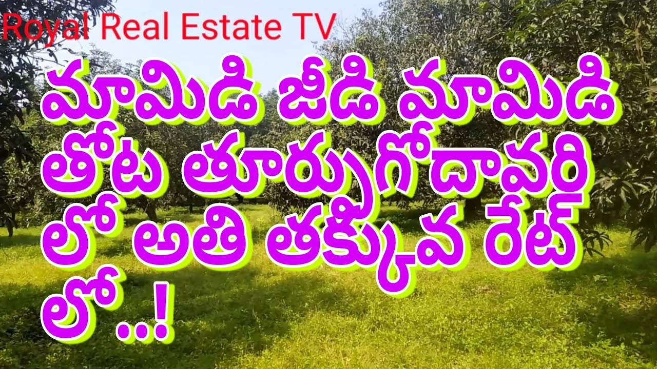 Mango garden||Cashew garden||East Godavari Land||low cost land||Real Estate||Royal Real Estate TV||