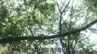 1리터의 눈물 1リットルの 淚, 2005 영화 1리터의 눈물 1リットルの 淚, 2005 영화