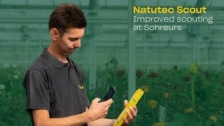 Effective crop scouting with Natutec Scout at grower Schreurs