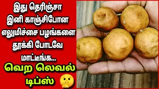 மறந்தும் கூட இனி இத தூக்கி போட்டுடாதீங்க/ பயனுள்ள 10 டிப்ஸ்/dry lemon benifits/tips/ Fathu's Samayal