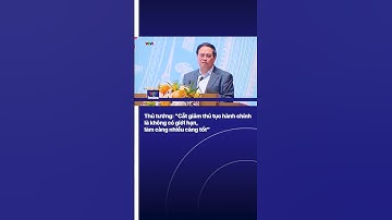 Thủ tướng: “Cắt giảm thủ tục hành chính là không có giới hạn, làm càng nhiều càng tốt” | VTVIndex