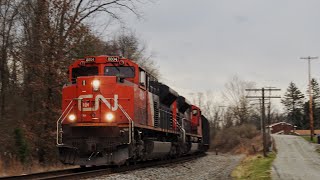 Seeing the NB BLE ore train in Plum Pa