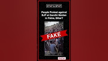Instant fake news digest - 24 November 2025