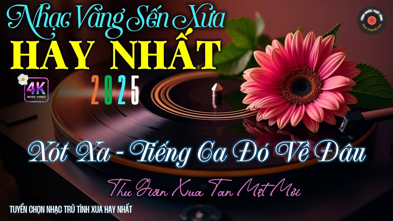 Nhạc TÌNH CA BOLERO Trữ Tình ĐỘC LẠ 2025, CỰC HAY - Nhạc Vàng Xưa CỰC DỄ NGHE, THƯ GIÃN VẠN NGƯỜI MÊ