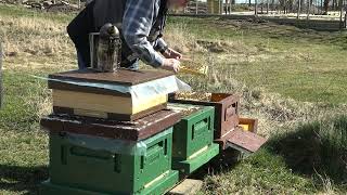 I Sydvästra Östergötland Honungsbin Får En Ny Bostad.