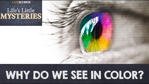 Why Do We See in Color?